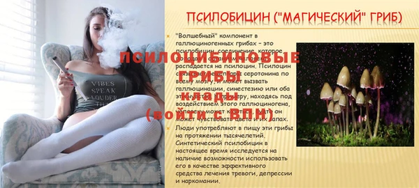 2c-b Верея