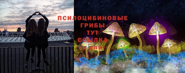 молекула духа Верхний Тагил