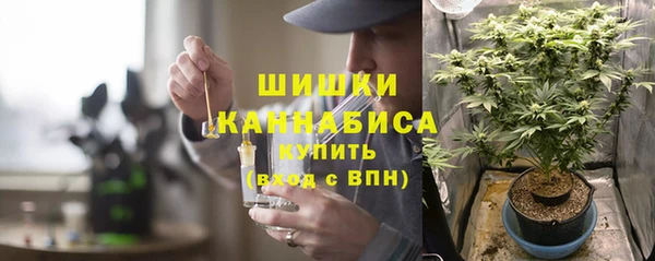 молекула духа Верхний Тагил
