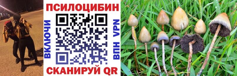 Галлюциногенные грибы ЛСД Нерехта