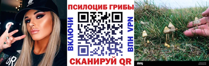 Галлюциногенные грибы мицелий  hydra вход  Нерехта 